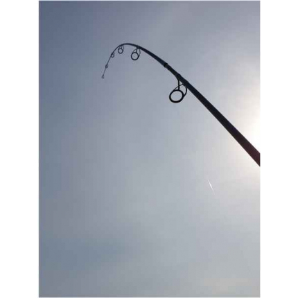 Sportex Prut Catapult CS-3 Carp 3,66 m (12 ft) 3 lb 2-díl