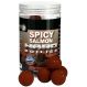 Spicy Salmon Hard Boilies 200g 24mm