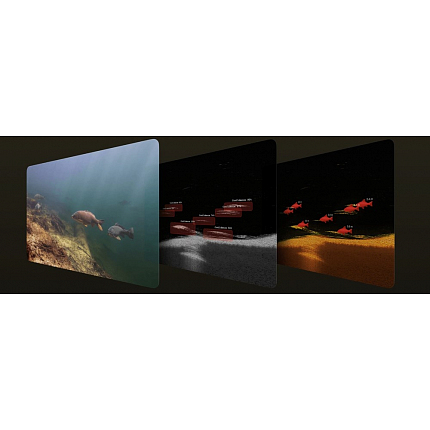 Deeper Sonar Chirp+ 4