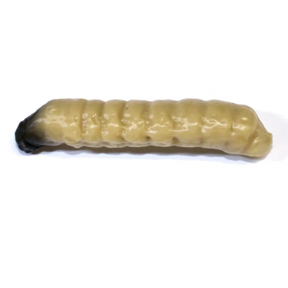 Revol Baits nástraha Caddis Larva 40mm příchuť sýr-česnek, barva světle béžová 10ks