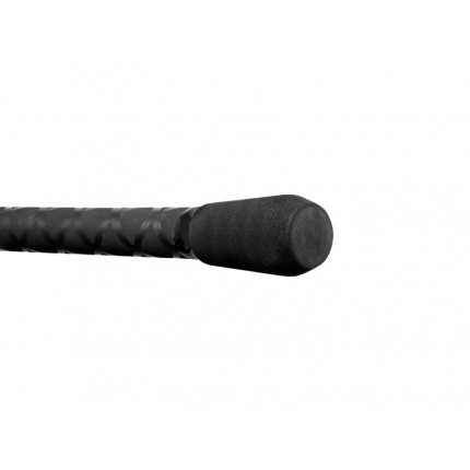 Delphin PARTISAN Carp 360cm/3.50lbs/2 diel