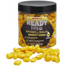 Starbaits Kukurica Bright Ready Seeds Pro Ginger Squid 250ml Starbaits Kukurica Bright Ready Seeds Pro Ginger Squid 250ml
