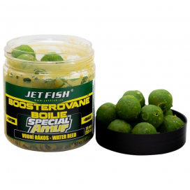 Jet Fish Boosterované Boilie Special Amur Vodný Rákos 120 g 20 mm
