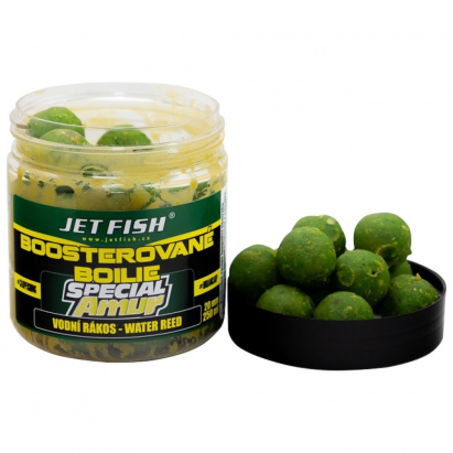 Jet Fish Boosterované Boilie Special Amur Vodný Rákos 120 g 20 mm Jet Fish Boosterované Boilie Special Amur Vodný Rákos 120 g 20 mm