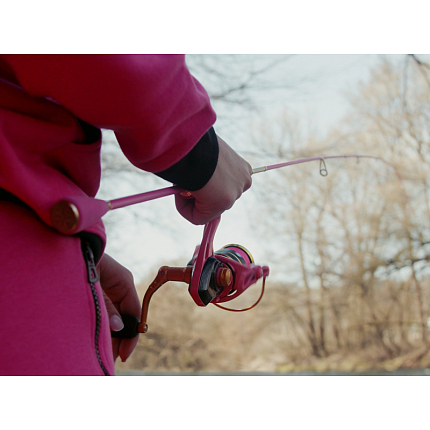 Delphin Prut Queen Action 1,83 m 0,5-6 g 2 díl