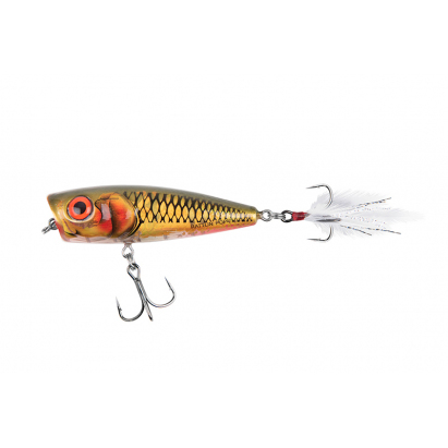 Salmo wobler Rattlin Pop 7cm CLEAR GOLDEN PREY Salmo wobler Rattlin Pop 7cm CLEAR GOLDEN PREY