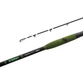 Delphin ENERGY Catfish - 280cm/250-500g/2 díly