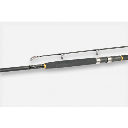 Free Spirit sumcové prúty - E SPORT 10' 3,0m 100-300g