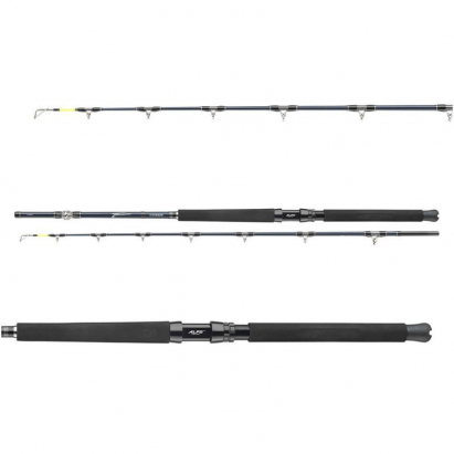 Daiwa Prut Tanacom Ultra Deep 2,1 m 400-1000 g 2 díl
