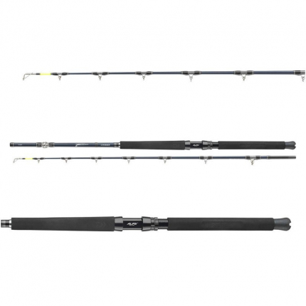 Daiwa Prut Tanacom Ultra Deep 2,1 m 400-1000 g 2 díl