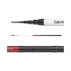 Daiwa Ninja Bolo 4,0m -25g