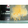 CC Moore tekutej potravy 500ml - Whole Krill extract