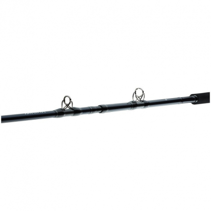 Daiwa Prut Tanacom Ultra Deep 2,1 m 400-1000 g 2 díl