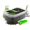 Delphin Pelety Reaxe Ready&Go Pellet Box + Booster a Nástrahy Česnek-Butyric 400 g