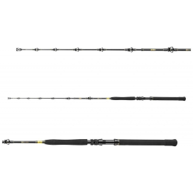 Daiwa Prut BG Big Game 1,68 m 20-30 lb Daiwa Prut BG Big Game 1,68 m 20-30 lb