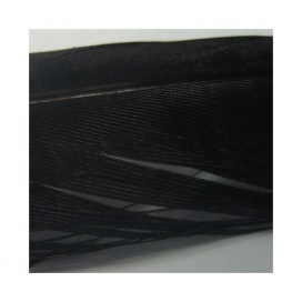 Hends products PHEASANT TAIL - ČIERNA 2ks Hends products PHEASANT TAIL - ČIERNA 2ks