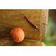 Nikl Carp'R'Us Hotový náväzec - Ready Multi Rig Ready Multi Rig Strip -X  25 lbs - Centurion 4,  2 pcs