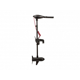 Haswing Elektromotor 55 Lb