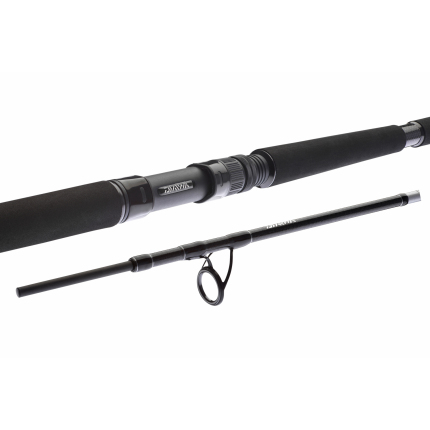 Daiwa Prút BG Boat 2,10m 150-400g