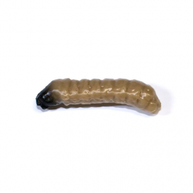 Revol Baits nástraha Caddis Larva 30mm příchuť sýr-česnek, barva tmavě béžová 10ks