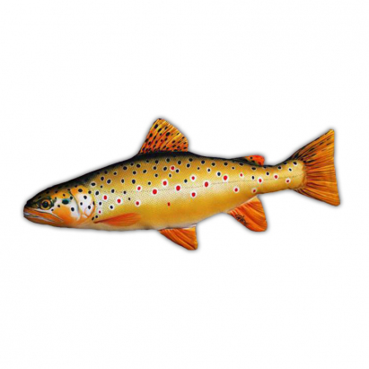 Gaby Vankúš pstruh obyčajný - dúhový 62cm Gaby Vankúš pstruh obyčajný - dúhový 62cm