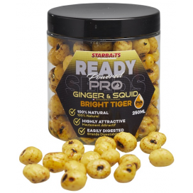 Starbaits Tygří Ořech Bright Ready Seeds Pro Ginger Squid 250ml