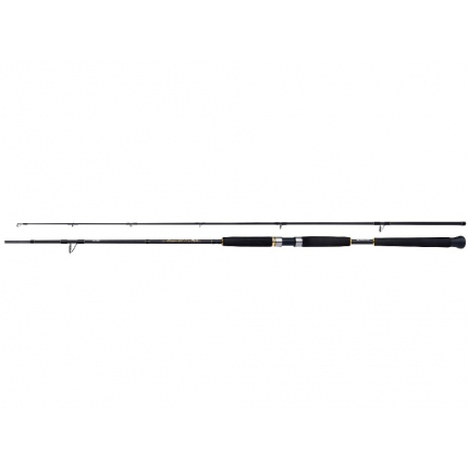 Shimano Prút Beast Master AX Pilk 2,40m 100-200g