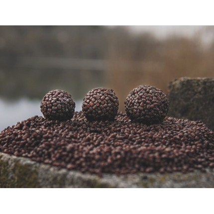 Chytil Boilies Pandemia 16mm