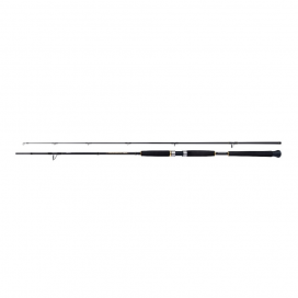 Shimano Beastmaster AX Pilk 2.40m 40-95g 2-díl