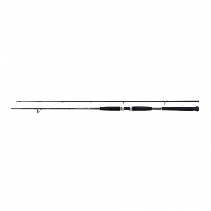 Shimano Beastmaster AX Pilk 2.40m 40-95g 2-díl