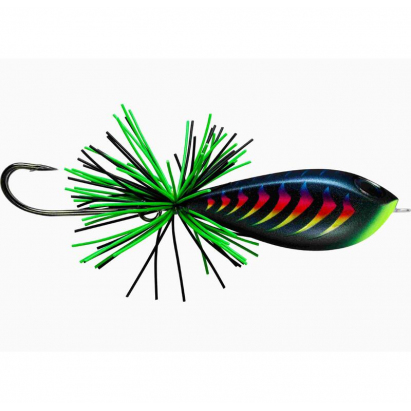 BX Skitter Frog 04