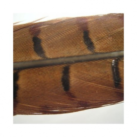 Hends products PHEASANT TAIL - PRÍRODNÉ 2ks