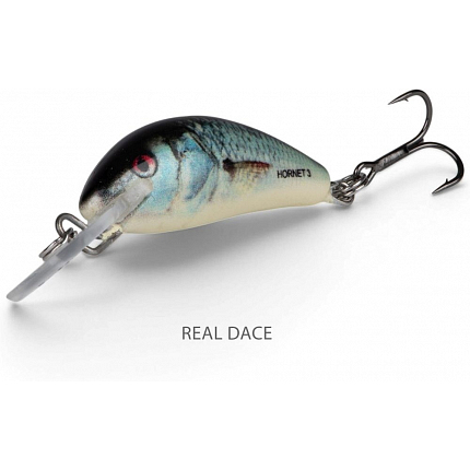 Salmo Wobler Hornet Sinking Real Dace 5 cm 8,2 g