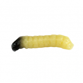 Revol Baits nástraha Caddis Larva 20mm príchuť krevetka, farba natural 10ks