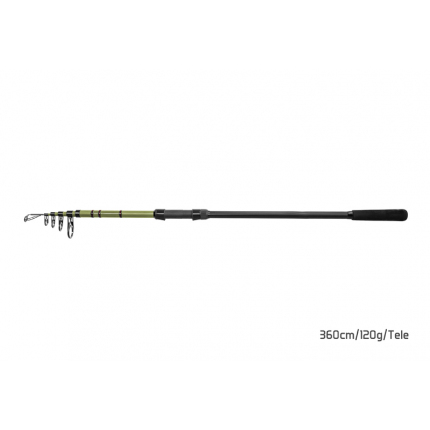 Delphin PARTISAN | 270cm / 80g / Tele