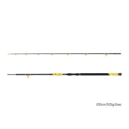 Delphin sumcový prút HAZARD BxG 255cm/505g/2 díly