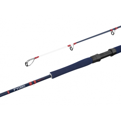 Delphin FYORD BigBOAT - 200cm/300-400g/2diely