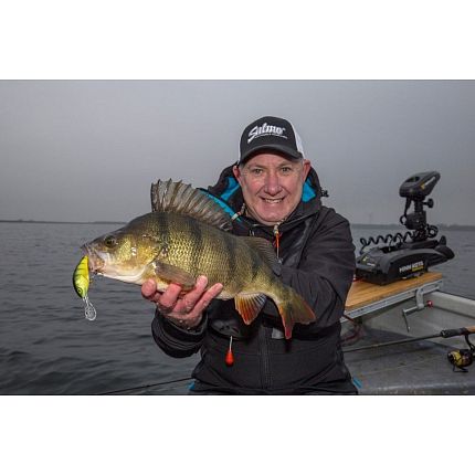 Salmo Wobler Hornet Sinking Real Identity Perch 5 cm 8,2 g