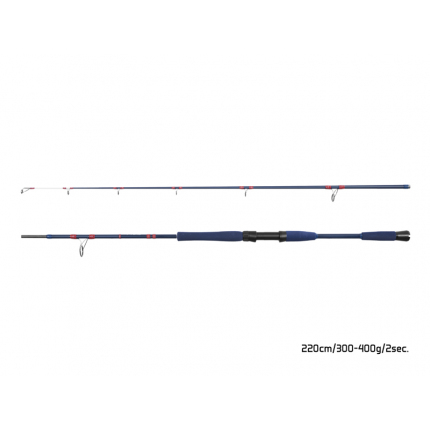 Delphin FYORD BigBOAT - 220cm/300-400g/2diely