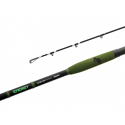 Delphin Prut Energy Catfish 2,5 m 250-500 g 2 díl