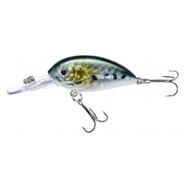 ATRACT ARIS LURES 4,0cm F C - Jaxon Wobler ATRACT ARIS 4,0cm F ATRACT ARIS LURES 4,0cm F C - Jaxon Wobler ATRACT ARIS 4,0cm F