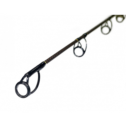 Zfish Prut Catfish Morga 2,70m / 100-400g
