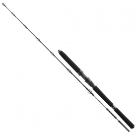 Daiwa Prút BG DEEP SEA 2,20m 30lbs