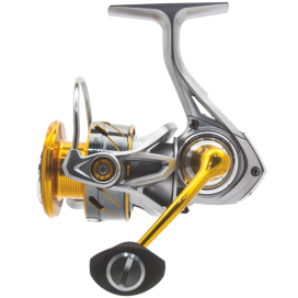 Mistrall navijak Sicata racer 30