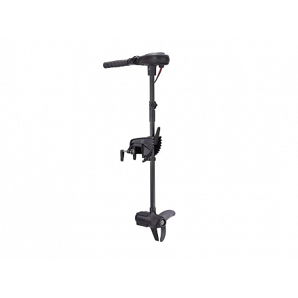 Haswing elektromotor 65 Lb