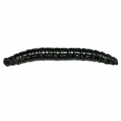 Revol Baits nástraha Crane Fly larva 45mm príchuť krevetka, farba čierna 12ks Revol Baits nástraha Crane Fly larva 45mm príchuť krevetka, farba čierna 12ks