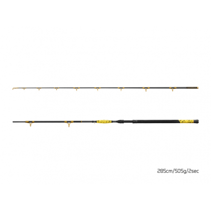 Delphin sumcový prút HAZARD BxG 285cm/505g/2 díly