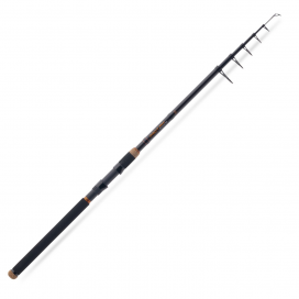 Saenger prut Pro-T Gold Tele 80 Allround 2,70m 40–80g