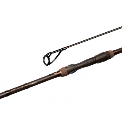 Delphin IMPALA Carp V3 380cm/3,50lbs/2 díly