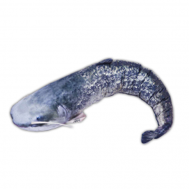 Gaby Vankúš Sumec 108cm Gaby Vankúš Sumec 108cm